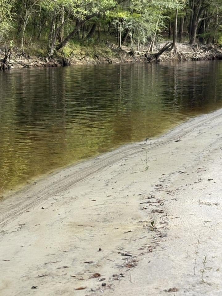 A white sandbar sloping into the tea-dark blackwater of the St. Marys River in Charlton County, Georgia