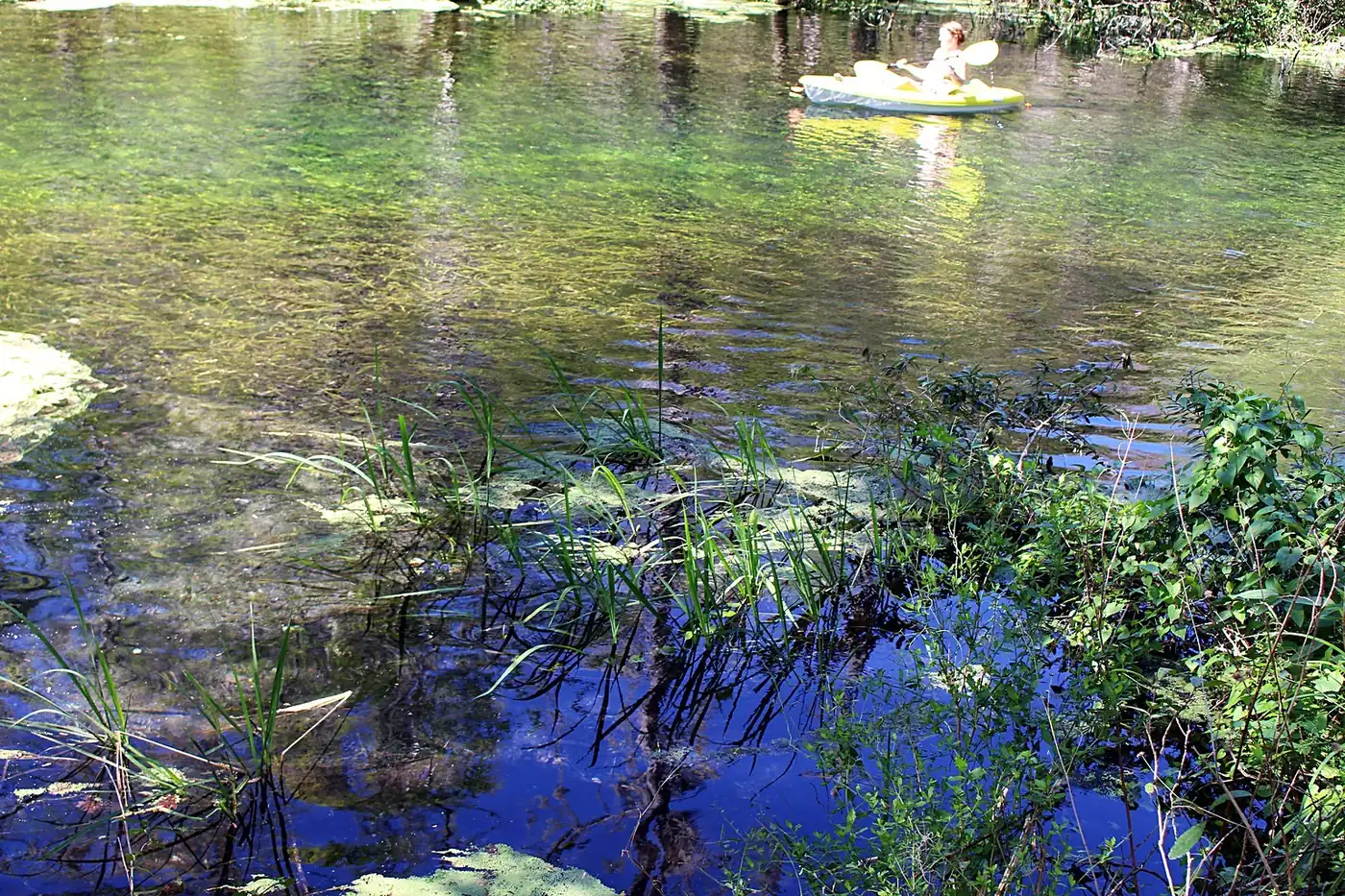 Ichetucknee River