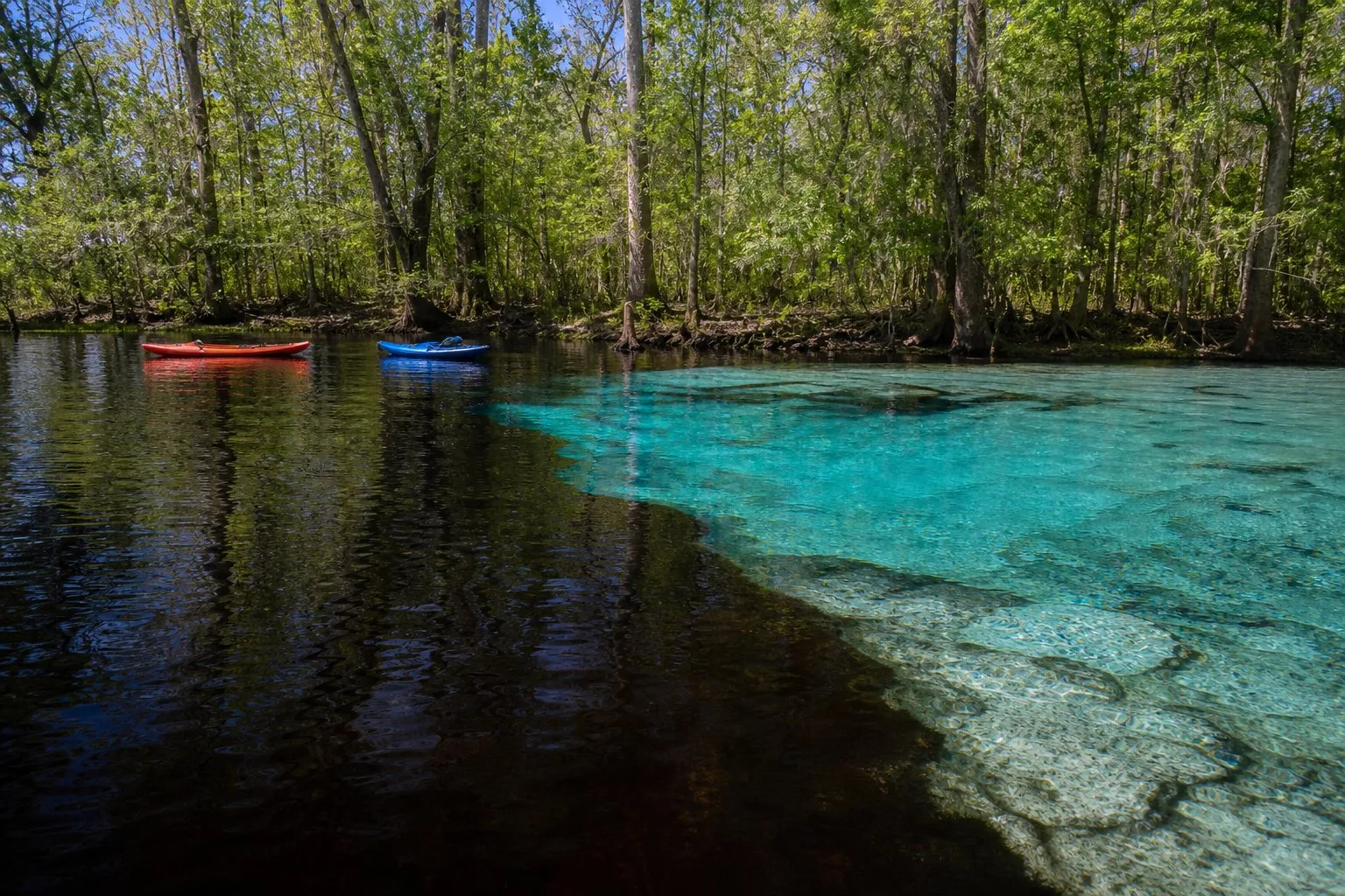Silver River / Ocklawaha