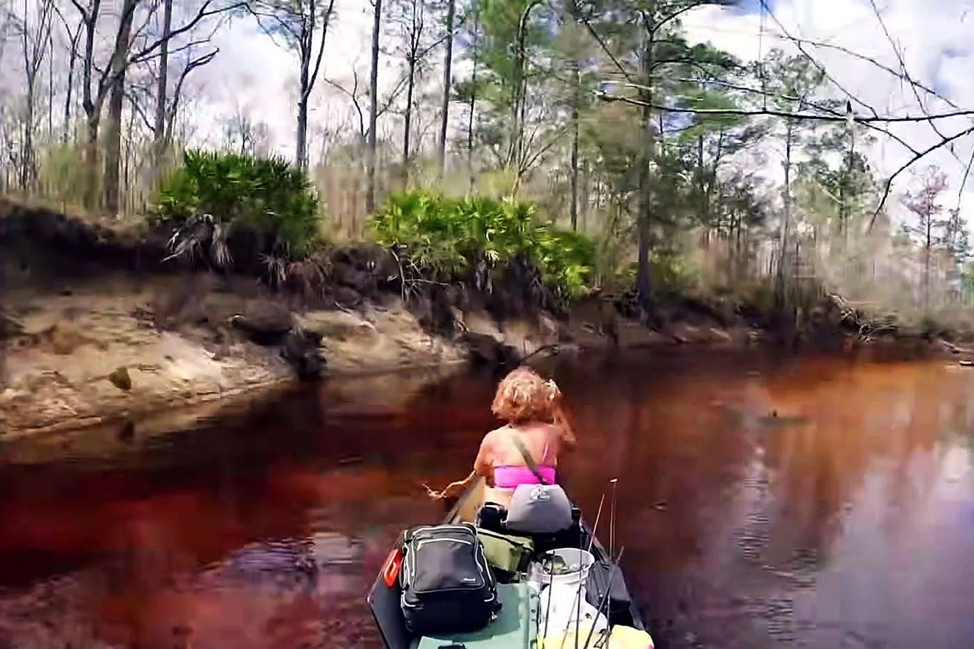 Tannic Blackwater Rivers